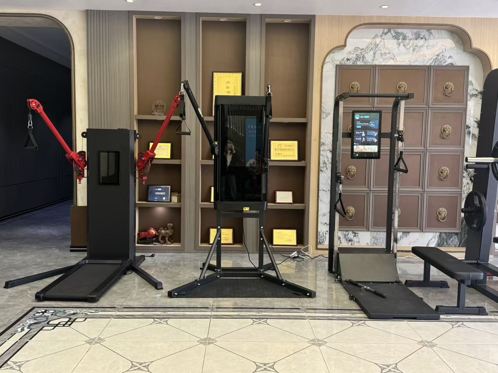 Profesyonel yüksek kaliteli ti - Smart Home Gym Mirror incelemesi ve fiyatı